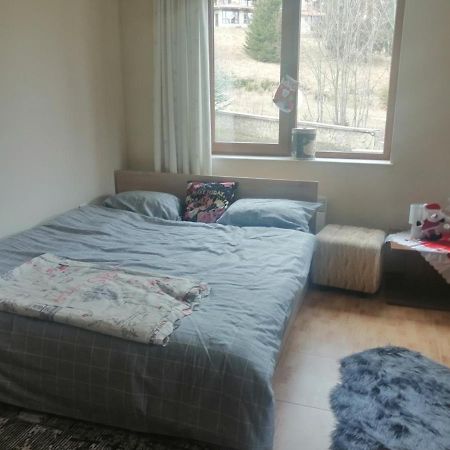 Apartment Dream Pamporovo Exterior photo
